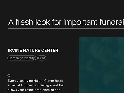 Portfolio Type Detail graphicdesign typography