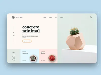 Anima Shop Concept branding clean design layout minimal plant shop ui ux web website