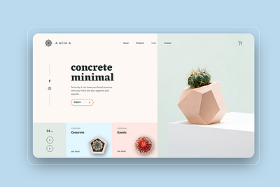 Anima Shop Concept branding clean design layout minimal plant shop ui ux web website