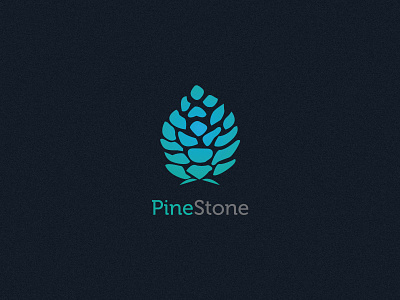 pine stone