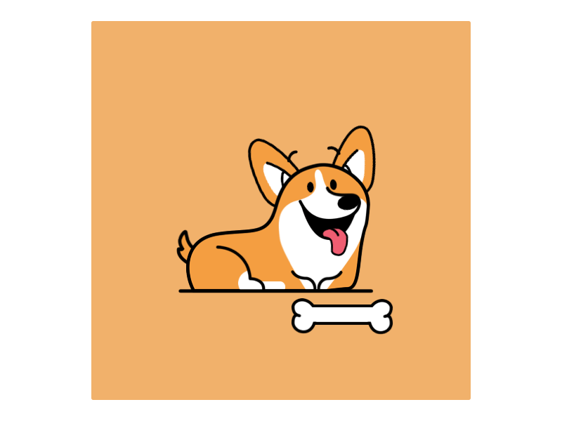 002 corgi animation cute design motiongraphics