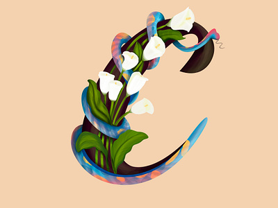 C For "Calla lily''