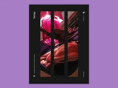 Flamingo abstract design graphic design photography poster typography