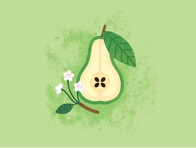 Pear adobe illustrator design fruit fruit illustration illustraion illustrator photoshop texture vector