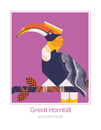 Great Hornbill animal bird bird illustration design flight geometric hornbill illustration marble texture vector