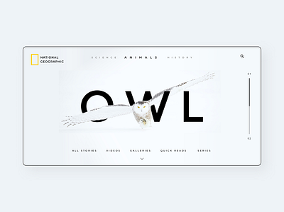 National Geographic animal black and white branding concept design design illustration kuldeeprawat natgeo national geographic owl ui uidesign web web design website website concept