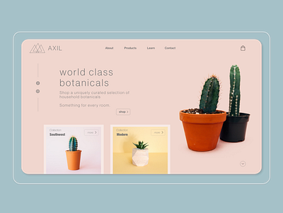 AXIL Botanicals - ECommerce Concept botanicals branding concept design design ecommerce ecommerce shop landing page logo minimal ui ui design ux uxui webpage