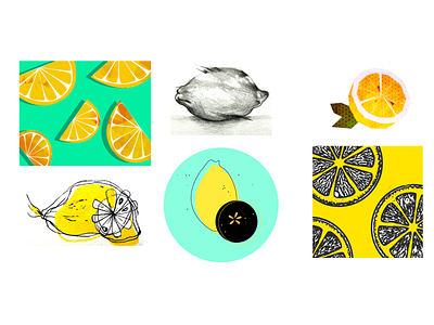 Lemon study art illustration lemons vector