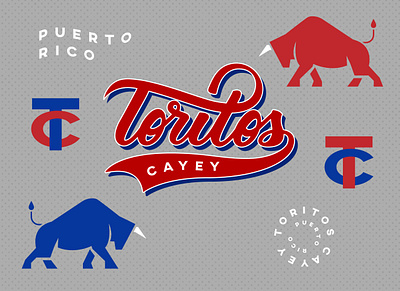 Toritos Branding branding design icon illustration logo typography