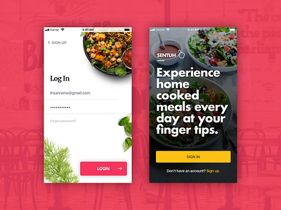 Sentuh Login Options design ios iphone login mobile signup ui ux