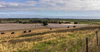 Field camera landscape photography photography