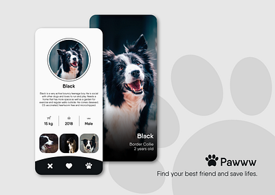 Daily UI 006 - User Profile - Dog Tinder app black challenge daily ui daily ui challenge dating design dog paw pet profile tinder uidailychallenge user profile