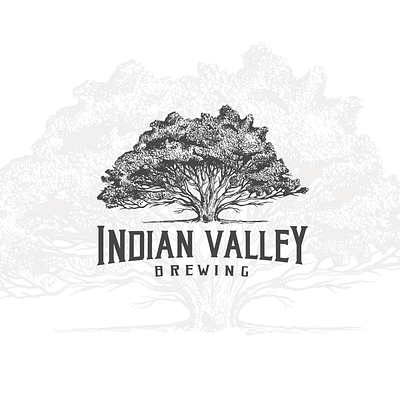 Indian Valley Brewing