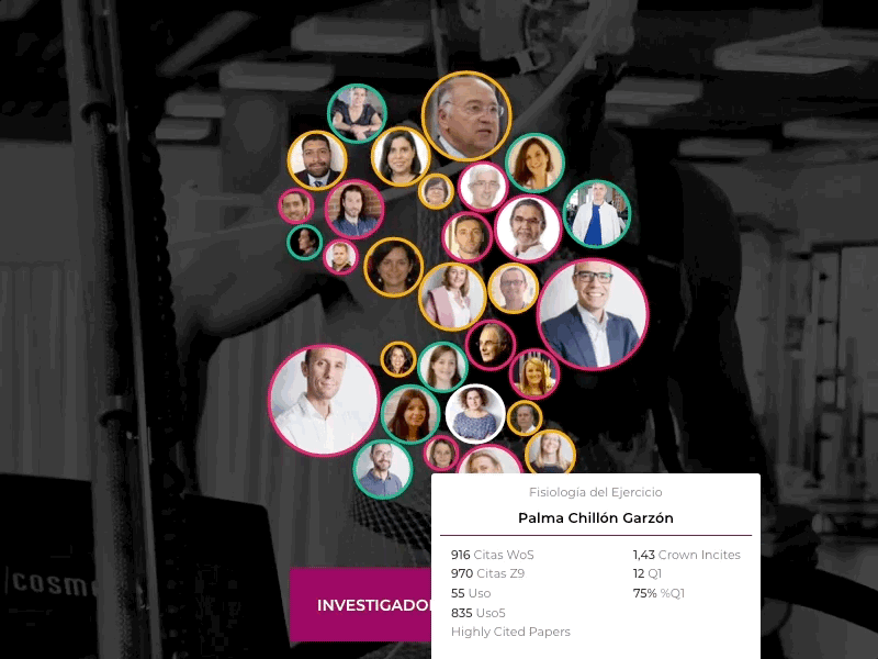 Researcher Bubble Chart data uidesign uiux web design