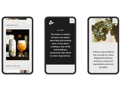 Trillium Website boston designer brewery ux website design
