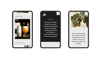 Trillium Website boston designer brewery ux website design