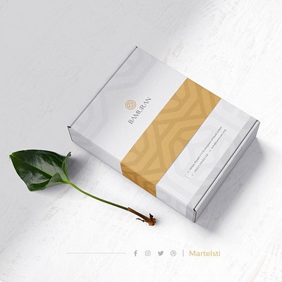 BAMURAN | Brand Identity animation brand brand identity branding design graphic design illustration logo typography vector