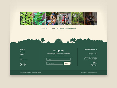 The Nature Place — 3 𝑜𝑓 6 camp camping footer forest illustration natural nature outdoors signup tent ui ux web webdesign