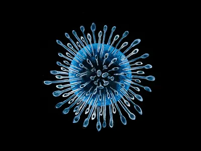 Microcosm COVID-19 abstract art biology coronavirus cosmos covid 19 illustration microbiology microcosm universe virus visual art