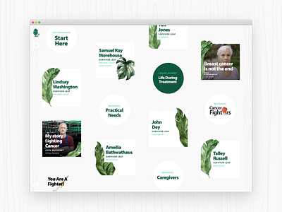 Cancer Survivor Tree cancer cancer survivor clean elegant healthcare minimal persona product design research uxdesign uxui web application