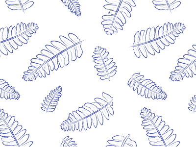 fern pattern pattern plant