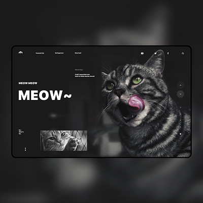 MEOW~ typography web