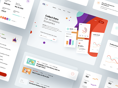 RevvLabs - Provide Database Service Website analysis card collect ui dashboard data database economics economy illustration marketing money money app service source tracking