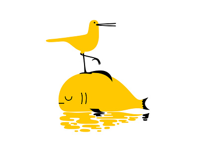 Bream dream animal beach bird cartoon character design dribbble ecology environmental fish illustration nature ocean seaside water