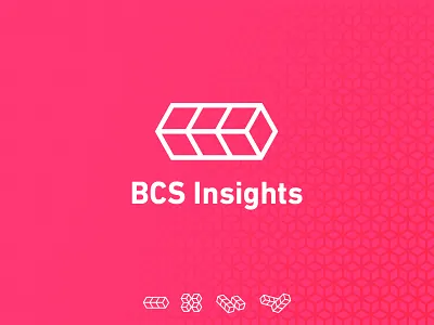 BCS Insights - Branding brand branding customer journey design graphic design illustrator logo marque print design typography
