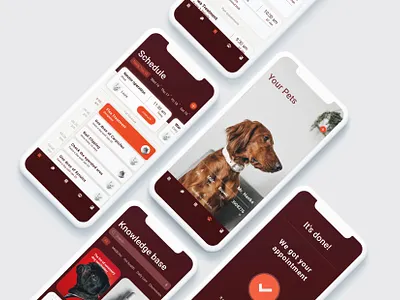 Momo Pet Clinic Application Design 2020 2020 trend application cat dog medical pet