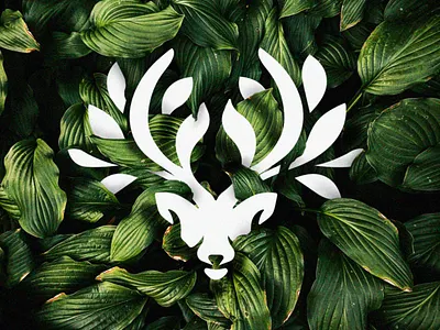 deerleaf animal animal design brand branding deer deer head deer illustration deer logo design flat graphic design illustration leaf leaf logo logo logo design logomark minimal nature nature logo
