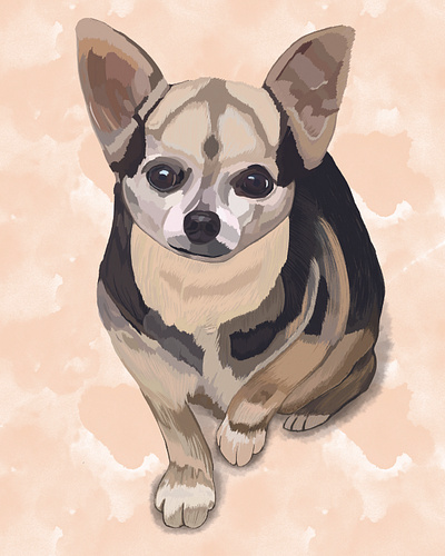 Chihuahua "Coco" art chihuahua design digitalart dog illustration illustration art pet procreate