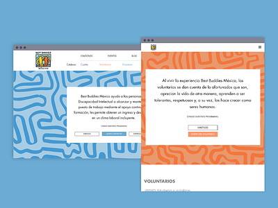 Best Buddies web design ui design web web design webdesign website