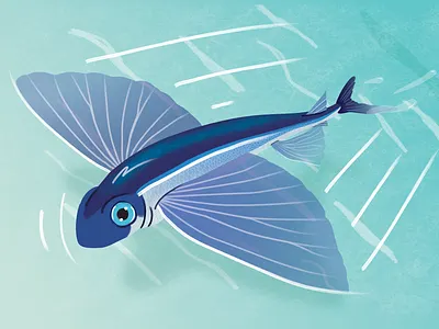 Flying fish animal bird blue fish flying green illustraion nature ocean sea vector water wildlife
