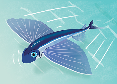 Flying fish animal bird blue fish flying green illustraion nature ocean sea vector water wildlife