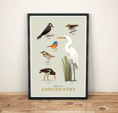 Birds of the Lowcountry animals coastal egret graphic design illustration nature plover shorebird songbird stylized wildlife woodpecker