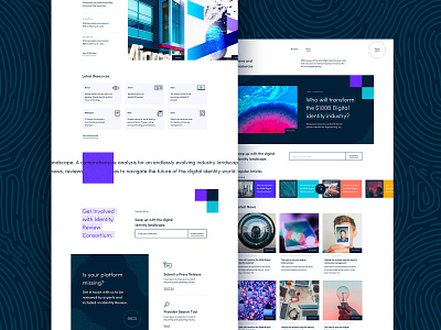 Identity Review Website bold branding design flat illustration typography vector web webdesign