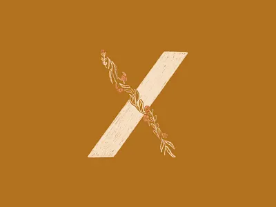 x custom lettering custom type design illustration lettering procreate sketchy typography x