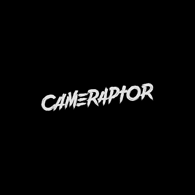 Cameraptor branding brushpen design handlettering lettering logo logotype vetoshkin