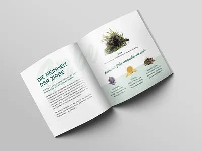 Zirbelle Folder cosmetics editorial folder layout natural print typography zirbelle