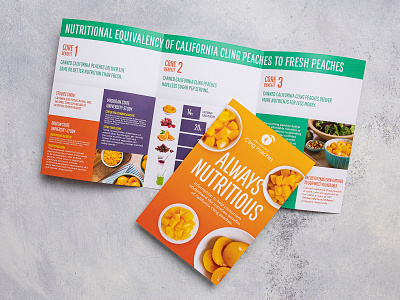 Always Nutritious Brochure brochure education food fruit healthy lunch nutrition peaches print design produce school snack