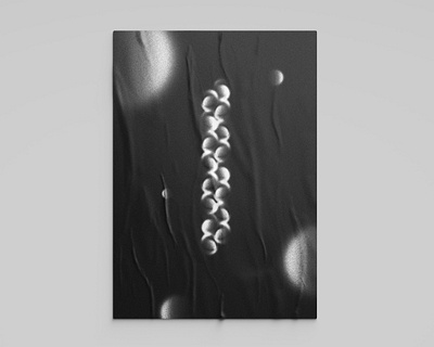 Sonder No. 4 abstract bellingham black and white circle gradient grey grit gritty illustration noise paper poster poster art poster design proportion scale series shape texture