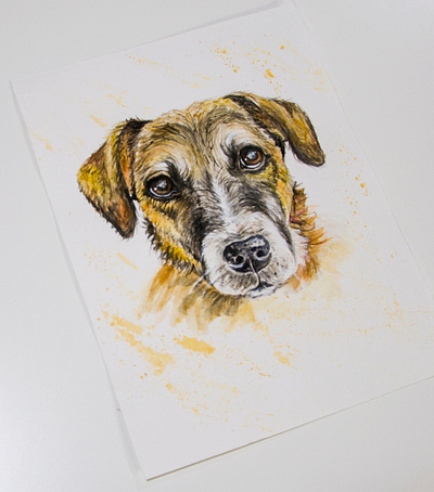 watercolor portrait of a dog design dog drawing fantasy fashion hand painted handmade illustration paint painting picture