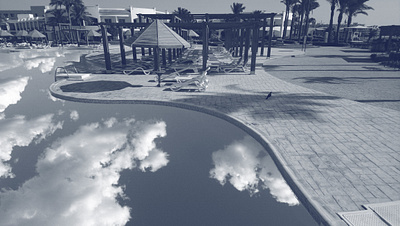 Dream Pool monochrome photoshop art pool