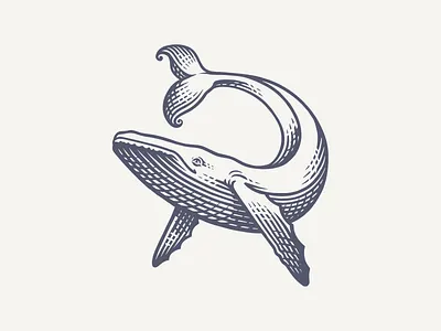 Happy Whale branding design illustration logo nautical process reject sea whale