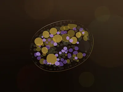 Nassula ornata, 200x magnification adobe illustrator blobby depth of field design illustration scientific scientific illustration vector