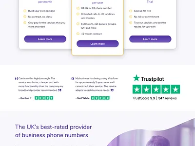 Homepage for a telephone services company business website corporate website desktop hardware home home page homepage pricing table website