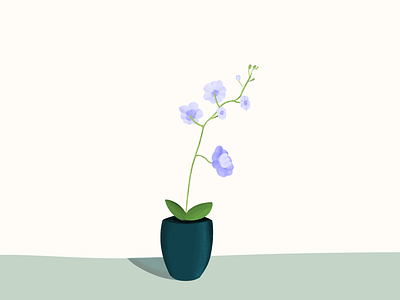 Flower illustration flower