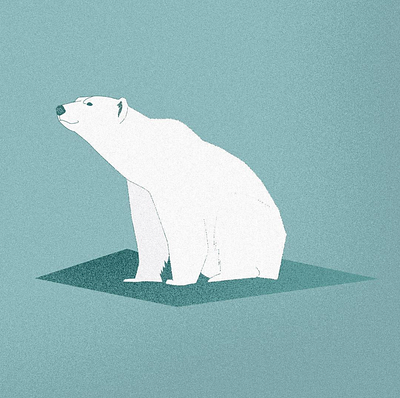 Polar Bear bear design illustration polar polarbear