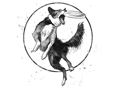 Sketch for Sports Team black and white branding design drawing icon illustration logo pen and ink ultimate ultimate frisbee vector